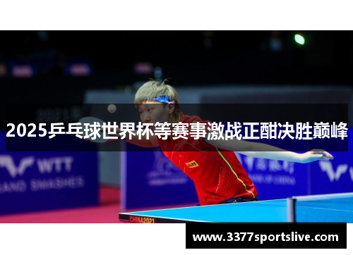 2025乒乓球世界杯等赛事激战正酣决胜巅峰